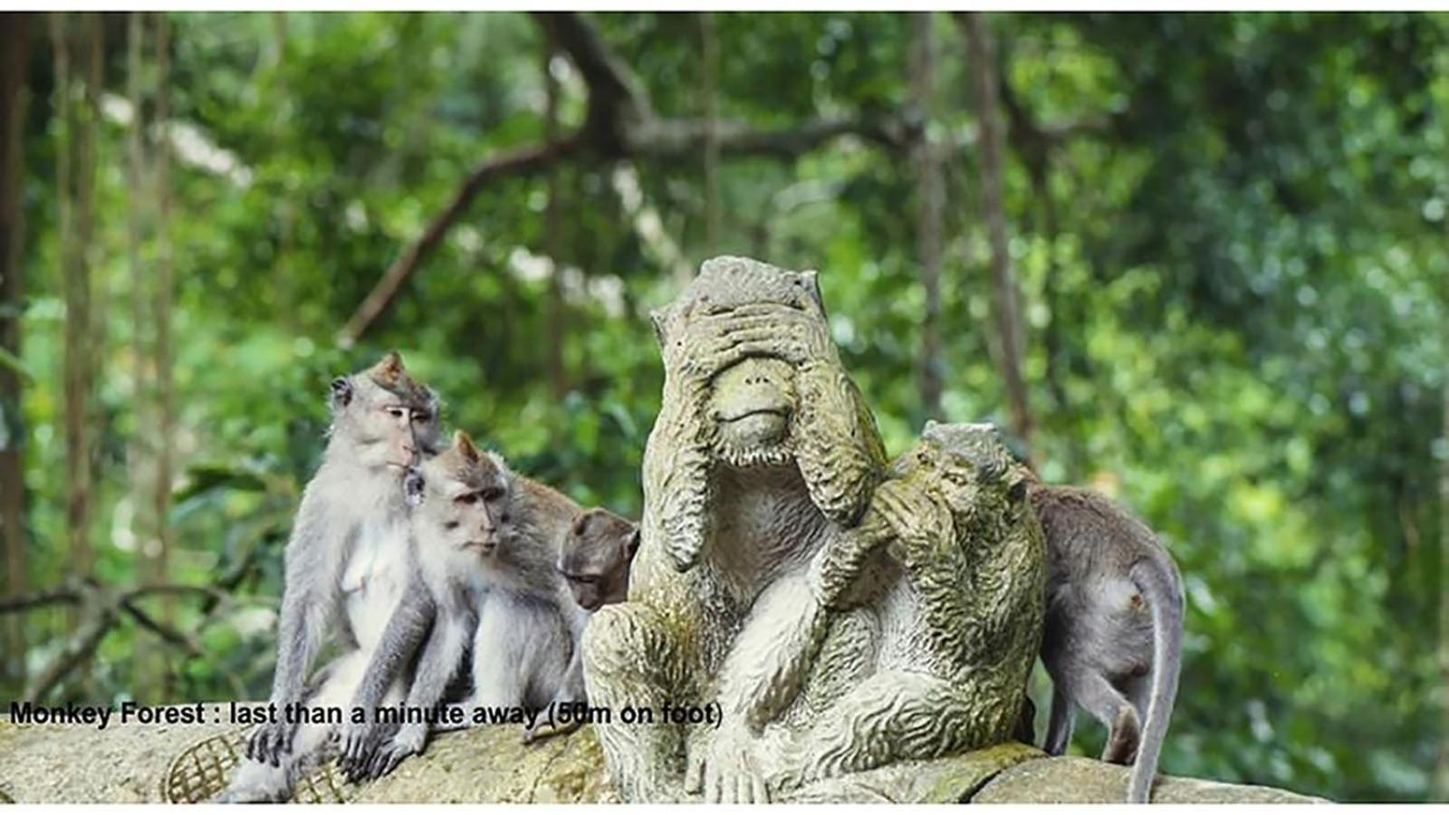 Pande Permai Bungalows Ubud  Luaran gambar